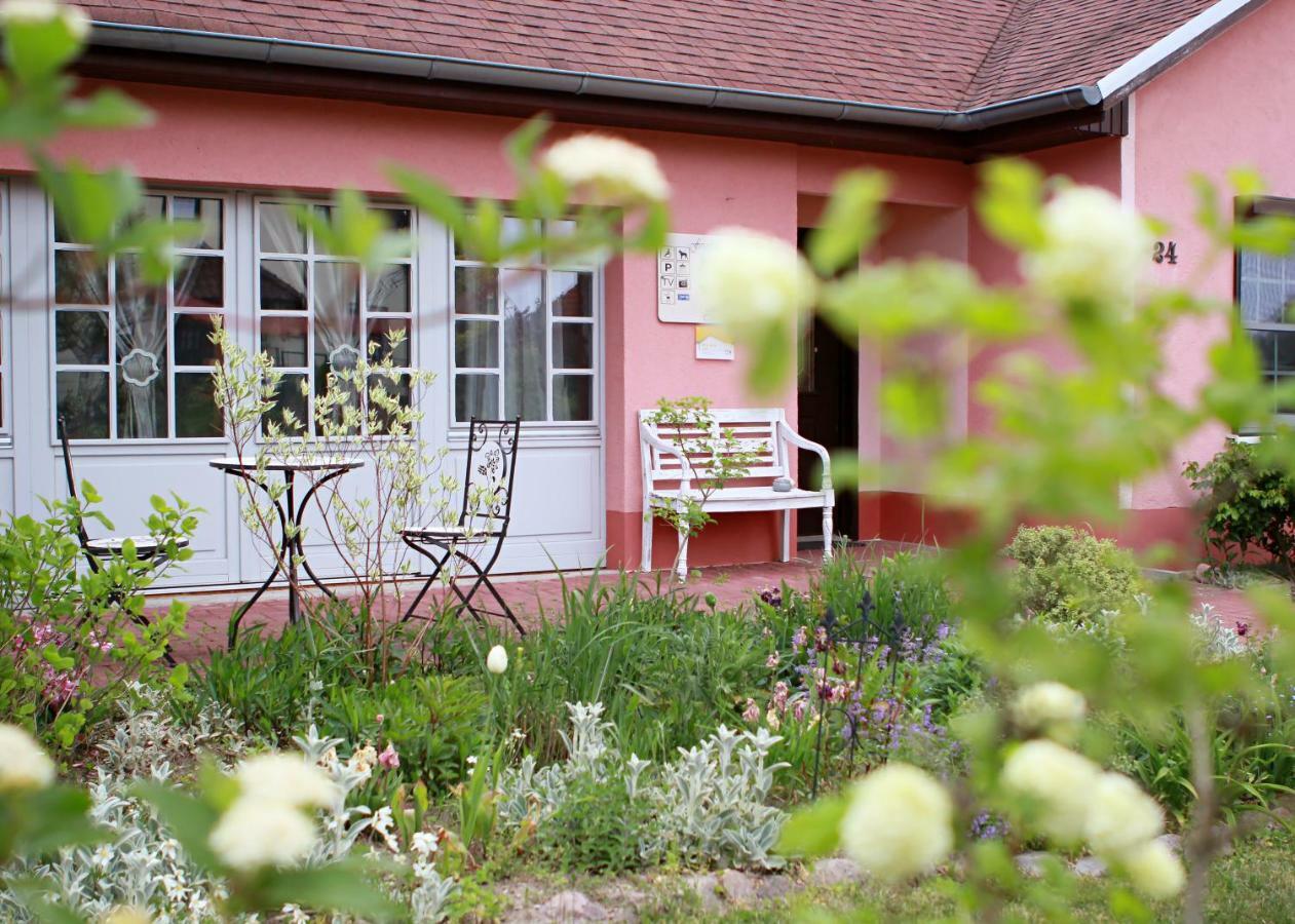 Ferienhaus Friedrichswalde מראה חיצוני תמונה