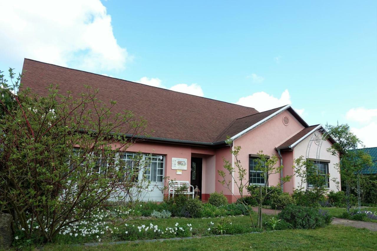 Ferienhaus Friedrichswalde מראה חיצוני תמונה